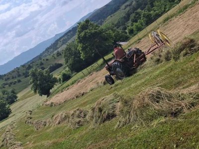 Posvađali se tokom kosidbe, pa zapalio sijeno