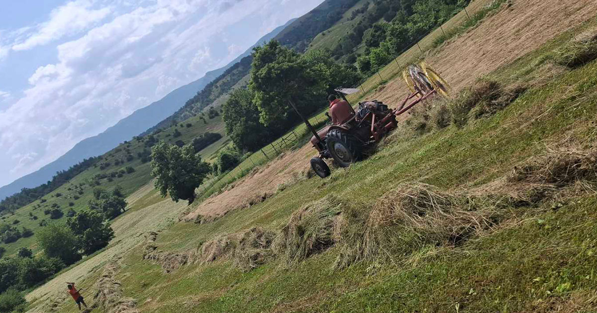 Posvađali se tokom kosidbe, pa zapalio sijeno